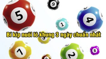 Kinh nghiệm nuôi lô theo vốn tăng dần